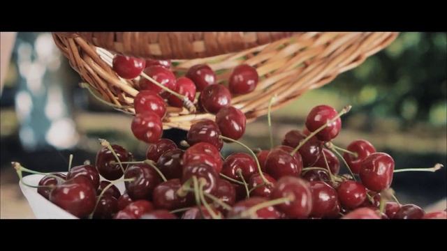 Unite 3G - Неограниченный мобильный интернет за 45 лей смотреть онлайн