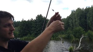Как ловить рыбу — пошаговая видеоинструкция по рыбной ловле / Howto fishing