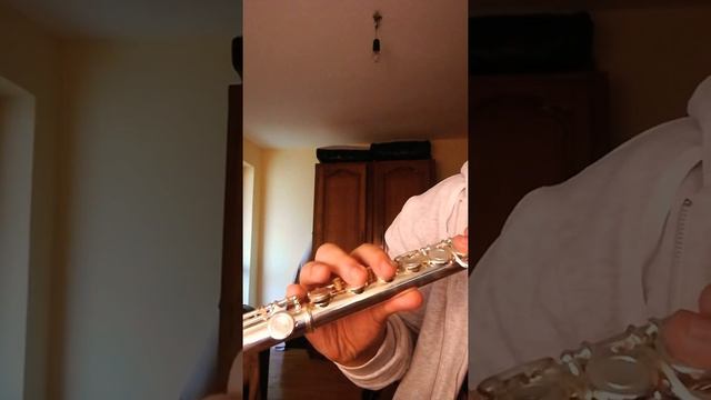 River flows in you - Yiruma ( flute cover) смотреть онлайн