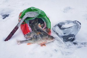 Ока, Ока - дай окунька! Облавливаю предсерийные безмотылки!