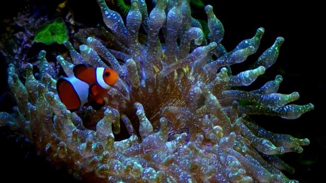 sea relax смотреть онлайн