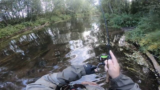 Рыбалка на форель и хариус. Рыбалка в Ленинградской области. АВГУСТ 2019.