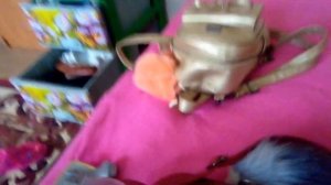 Vlog. Едем в Питер(Санкт-Петербург). На машине. С Москвы.❤️