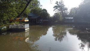 Сочи_Лоо - Рыбалка в "Клёвое место"