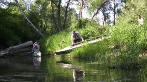 Сплав по реке Пекша