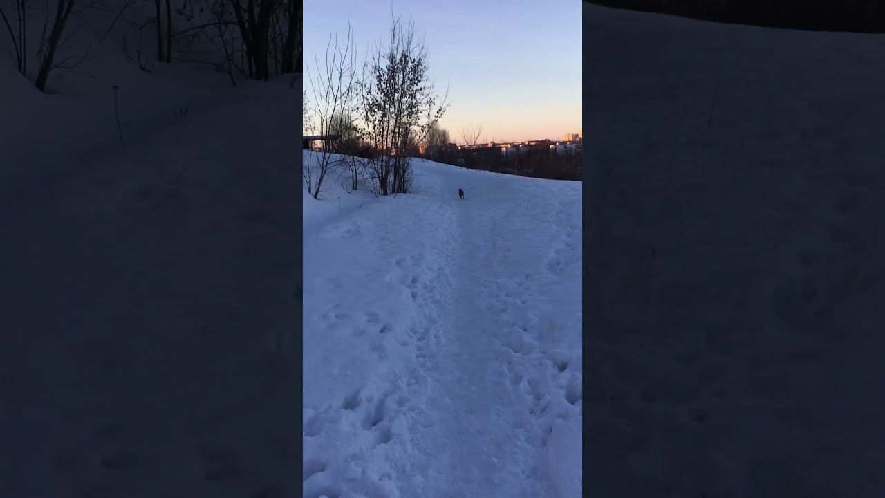 Бубочка и я на прогулке)