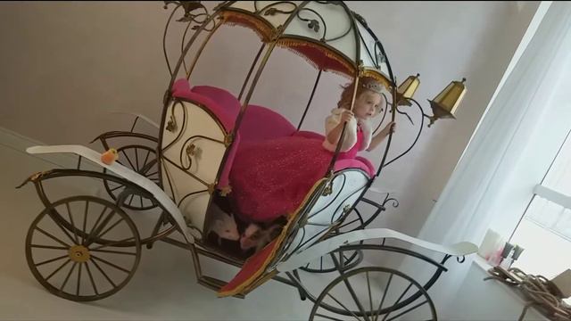 Маленькая принцесса и минипиг . Фотосессия у фотографа Ирины Шилиной смотреть онлайн