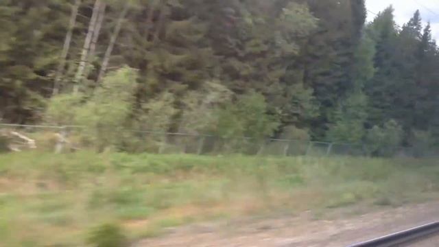 Сапсан- самый быстрый поезд в России смотреть онлайн