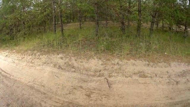 В лес за черникой |Рыбалка с эхолотом FFW718 Lucky | смотреть онлайн