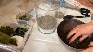 ФЛОРАРИУМ с фиттонией ? DIY Florarium