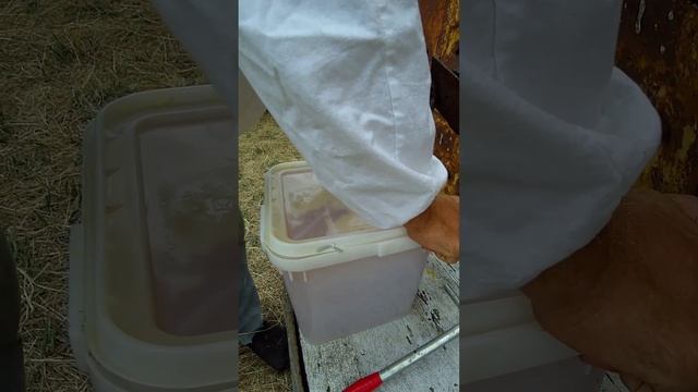 Как открыть крышку контейнера #Shorts смотреть онлайн