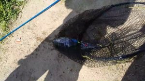 Рыбалка Гарант в Вернем Мячково, ловим форель, Сергей Мартюшев & Зелёный