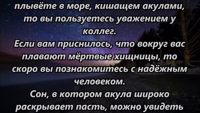 К чему снится укус акулы смотреть онлайн