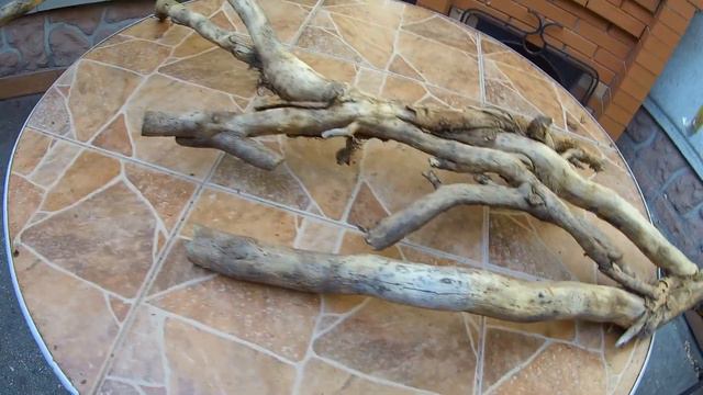 Обзор № 50. Коряга из плюща без подготовки смотреть онлайн