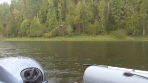 РЫБАЛКА ОСЕНЬЮ НА БИРЮСЕ