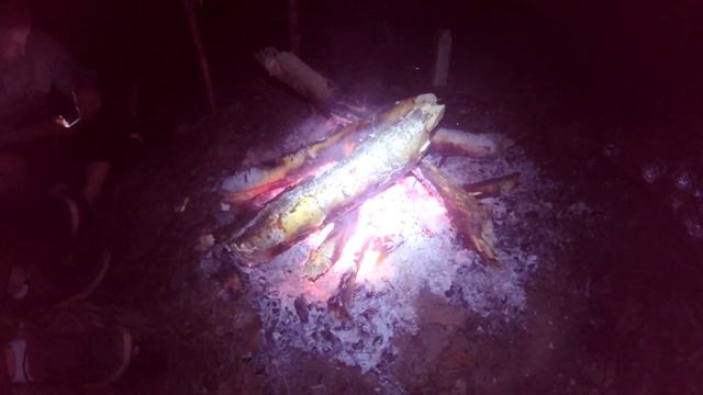 Сплав на байдарках по Клязьме (май 2016) смотреть онлайн