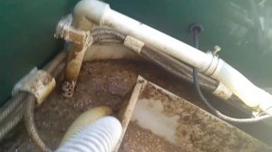 Биодека 5.  2020.07.07 шапка из дохлого или толщиной 20см