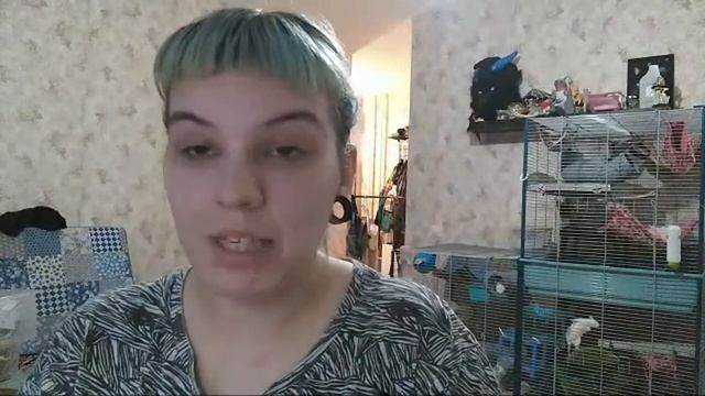 УБОРКА И ДЕЗИНФЕКЦИЯ КЛЕТОК У КРЫС - КАК И ЧЕМ? смотреть онлайн