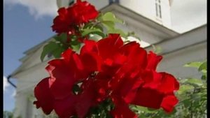 Фильм 50. Благоверные.