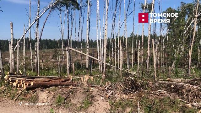 Мобильный репортёр: калтайский заказник