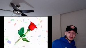 Learn Your Colors REACTION