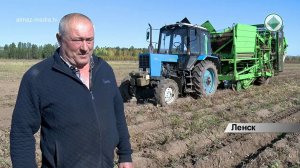 В Ленском районе завершилась уборка картофеля