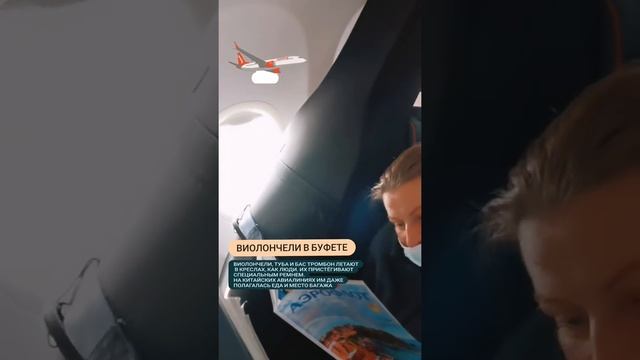 КАК ЛЕТАЮТ ВИОЛОНЧЕЛИ | кормят ли во время полета | как их привязывают | иногда у них есть багаж смотреть онлайн