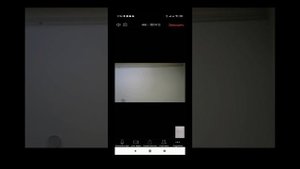 Как создать конференцию в приложении Zoom