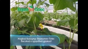 Жидкий биогумус