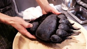 Ужасная и отпугивающая кухня мира. Японская еда - Гигантская Медвежья Лапа. Токио, Япония.