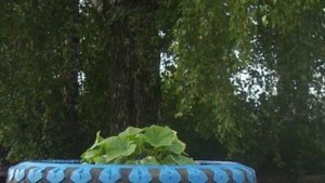 Идеи из покрышек . грядки , клумбы , подделки