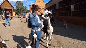 Страусиное ранчо (Барнаул)