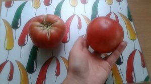 Обзор томатов Микадо Розовый и Чудо земли. (Сравнение)