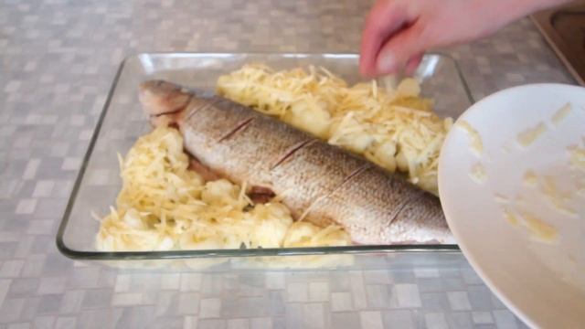 Видео рецепт приготовления чира в духовке: как быстро, просто и вкусно запечь северную рыбу чир