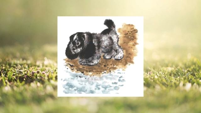 Е. Чарушин "Тюпа, Томка и сорока" смотреть онлайн