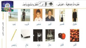 Арабский в твоих руках 1 том урок 46.mp4