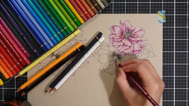 Floral Colouring with Beautiful Clematis digital stamp | Jaycee Gaspar смотреть онлайн