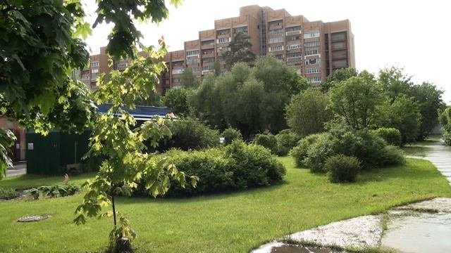 Наша зелёная Планета