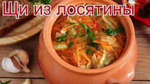 Рецепты из Супового набора из лося - как приготовить лося пошаговый рецепт - Щи из лосятины