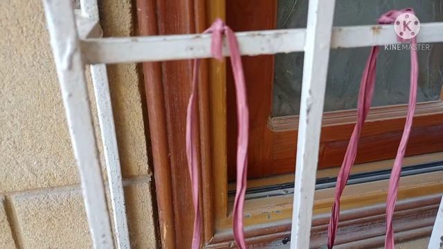 Make easy hanging pots for plants at home  ,,🍀 hanging plants ideas ☘️🌱