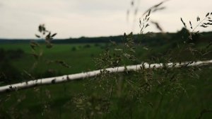 Путешествие на Бежин луг 2020.