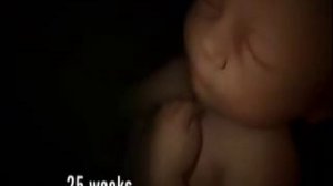 Ребёнок в утробе матери