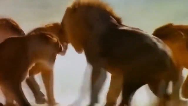 Захват _ Capture смотреть онлайн