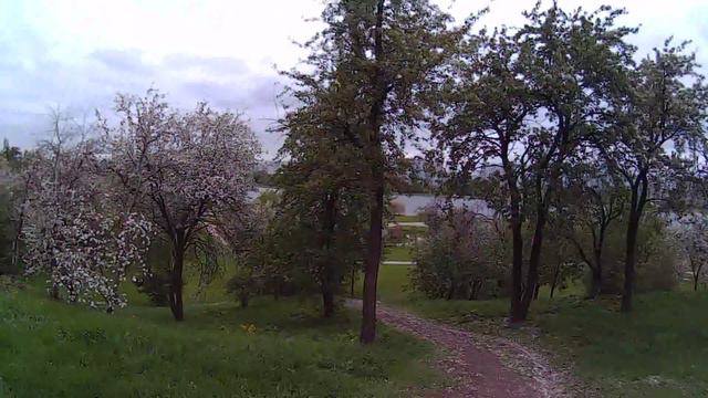 Экшн камера SJ6000 (TEST1) смотреть онлайн