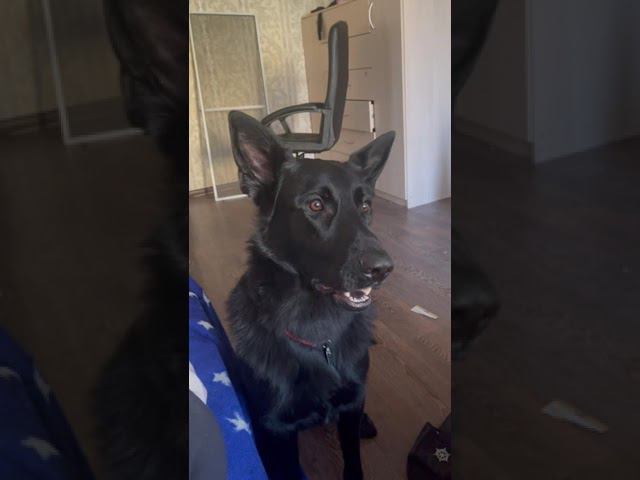 IMG 0076 смотреть онлайн