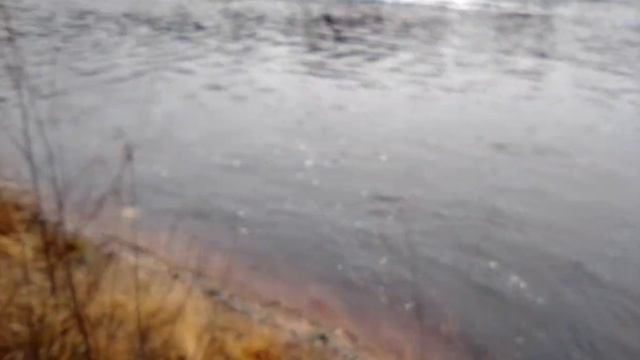 Карелия. Река Лоймож смотреть онлайн