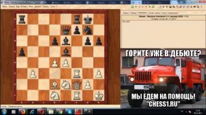 Шахматы. Зевки. Как бороться с этим недугом