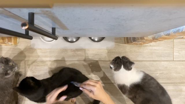 Осенний декор моей маленькой хрущевки-лофт. Tiny home autumn decoration. смотреть онлайн