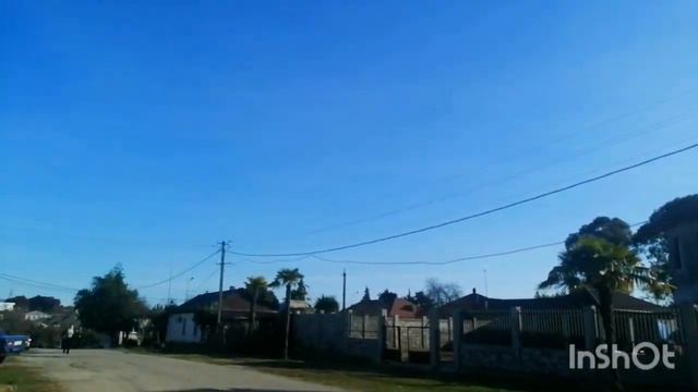 Абхазия зимой. Гудаута в цвету. Горы в снегу, а на побережье вечная весна смотреть онлайн