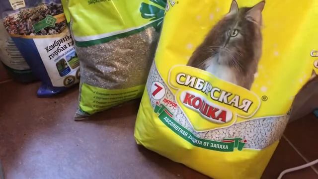 Готовим грунт для рассады в домашних условиях смотреть онлайн